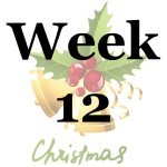 Week 12 of the Stress Free Holidays Challenge {on Household Management 101}