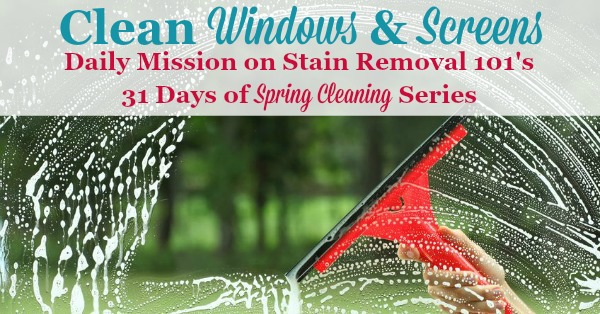 Clean windows and screens, the daily 31 days of #SpringCleaning mission on Stain Removal 101