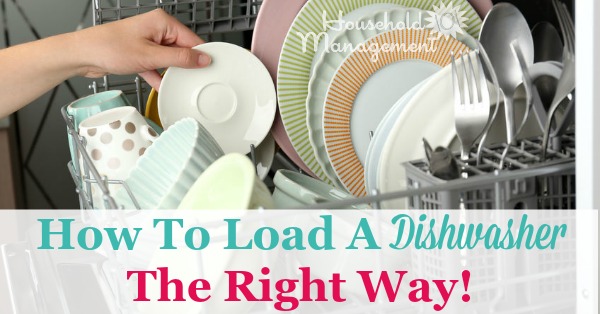 Tips and instructions for how to load a dishwasher the right way, so that everything gets cleaned. Includes instructions for the top and bottom rack and the silverware basket. {on Household Management 101}