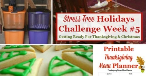 Week #5 of the Stress Free Holidays Challenge is all about cleaning up from Halloween, plus Thanksgiving planning and a little more Christmas preparation, plus it includes free printables and organizing tips {on Household Management 101}