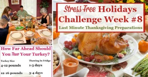 Week #8 of the Stress Free Holidays Challenge is all about last minute Thanksgiving preparations, so you can avoid Thanksgiving stress. It includes free printables and organizing tips {on Household Management 101} #StressFreeHolidays #ThanksgivingPlanning #ThanksgivingPreparation