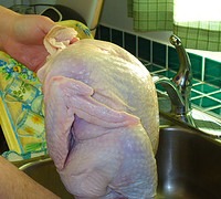 defrosted turkey