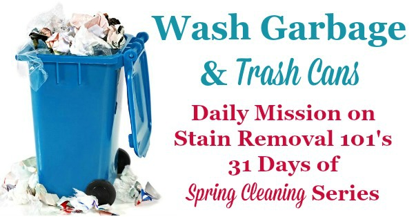 Wash garbage and trash cans, a dailty mission on Stain Removal 101's 31 Days of #SpringCleaning series