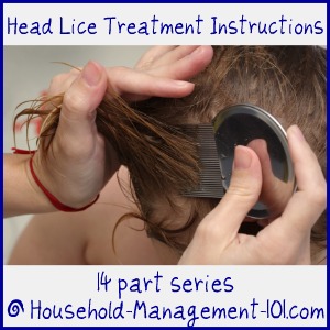 head lice treatment