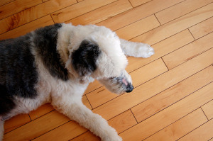 homemade wood floor cleaner