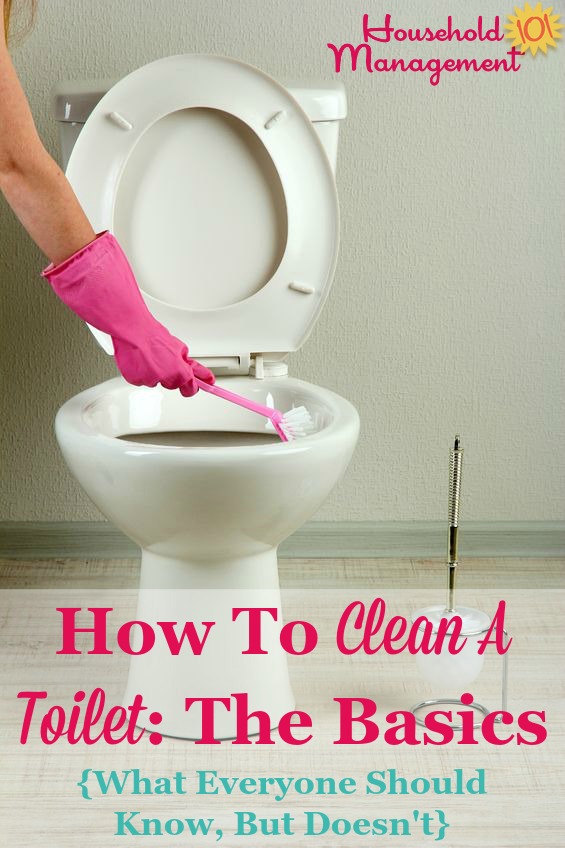 Basic instructions for how to clean a toilet, including what you should know about this process but perhaps don't {on Household Management 101} #BathroomCleaning #ToiletCleaning #CleaningTips