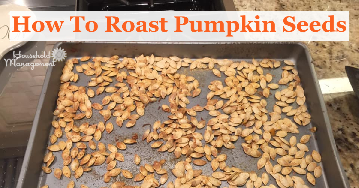 How to roast pumpkin seeds this Halloween when carving your pumpkin {on Household Management 101}