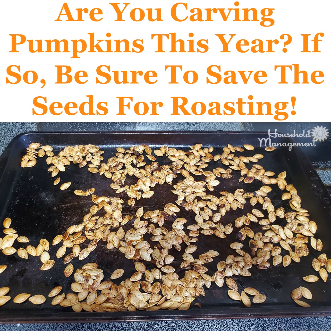 Make sure to save the pumpkin seeds for roasting this season, when you carve pumpkins. Here's how to do it! {on Household Management 101}