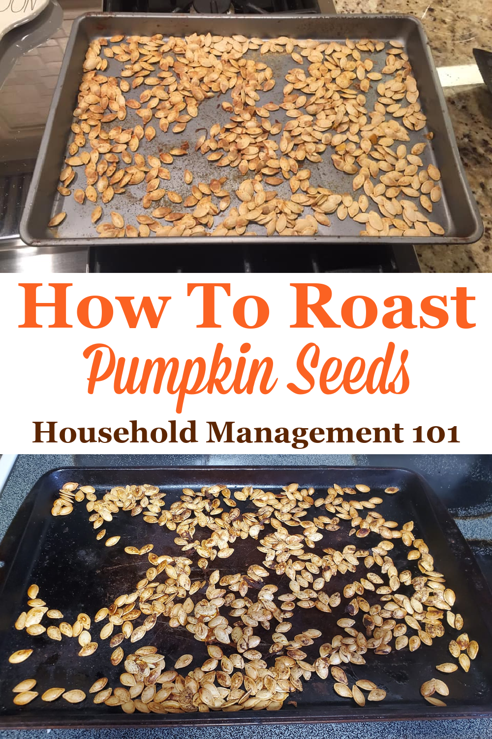 How to roast pumpkin seeds this Halloween when carving your pumpkin {on Household Management 101}