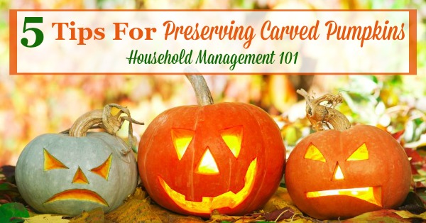 Here are 5 tips for preserving carved pumpkins and Jack-O-Lanterns so you can enjoy them longer during the Halloween season {on Household Management 101}