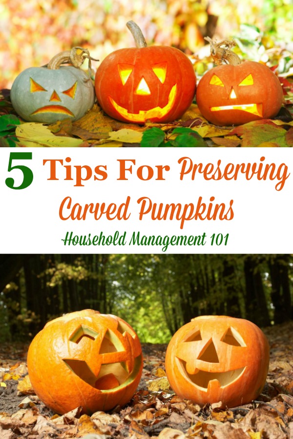 Here are 5 tips for preserving carved pumpkins and Jack-O-Lanterns so you can enjoy them longer during the Halloween season {on Household Management 101} #PreservingPumpkins #PumpkinCarving #PreserveCarvedPumpkins