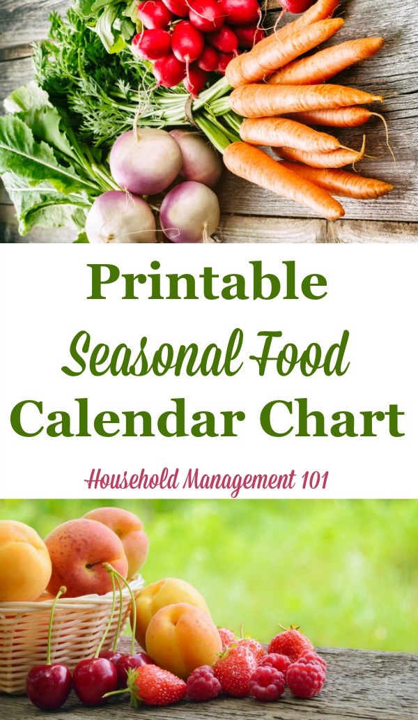 Free #printable seasonal food calendar chart, listing the produce in season in each of the four seasons, to help you with both meal planning and saving money {courtesy of Household Management 101} #MealPlanning #SaveMoney