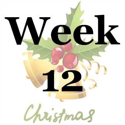 Week 12 of the Stress Free Holidays Challenge {on Household Management 101}
