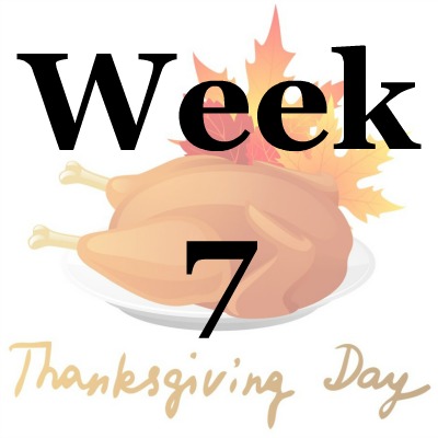 Week 7 of the Stress Free Holidays Challenge {on Household Management 101}