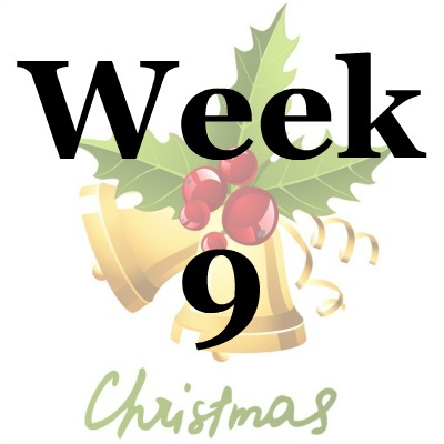 Week 9 of the Stress Free Holidays Challenge {on Household Management 101}
