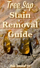 tree sap stain removal guide