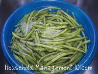 washing fresh green beans