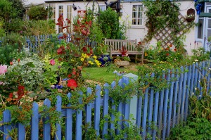 gardening websites