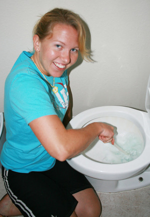 homemade toilet bowl cleaner