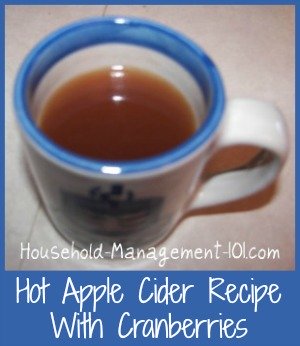 hot apple cider, with cranberries