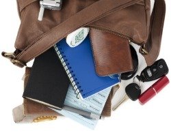 purse organizer