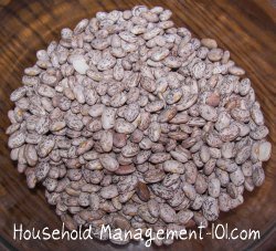 dried pinto beans