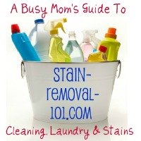 Stain Removal 101