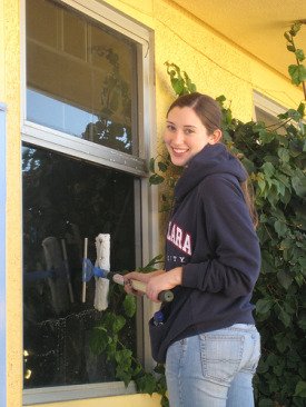 window cleaning tips