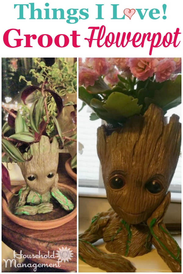 Things I love: This Groot flowerpot which is functional for growing a small potted plant, or use as a pen holder, and brings a smile to your face when you pass by! {on Household Management 101} #Groot #BabyGroot #GuardiansOfTheGalaxy