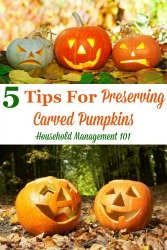 5 Tips For Preserving Carved Pumpkins